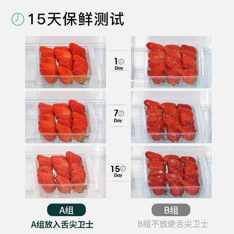 Egg Fridge Deodorizer