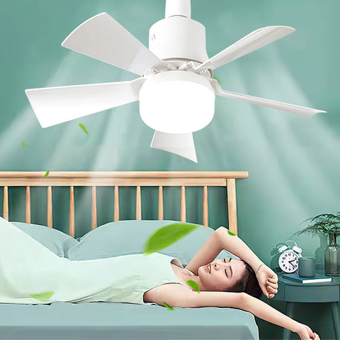 Ceiling Fan LED Light