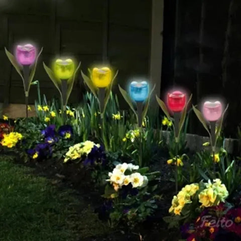 Solar Light Tulip