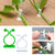 40PCS Plant Climbing Hook