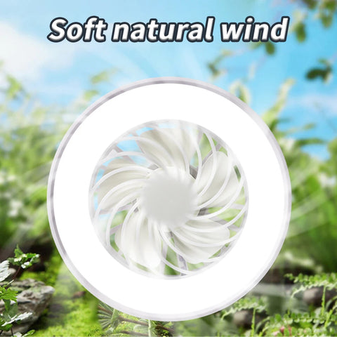 Screw Socket Fan Light
