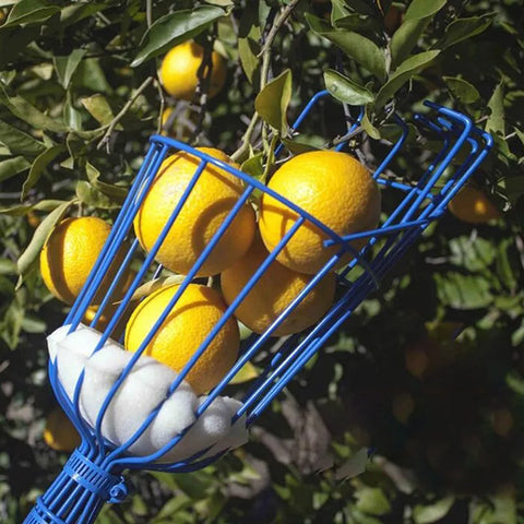 Fruit Picking Basket