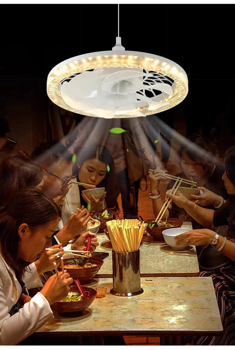 Ceiling Fan LED Light