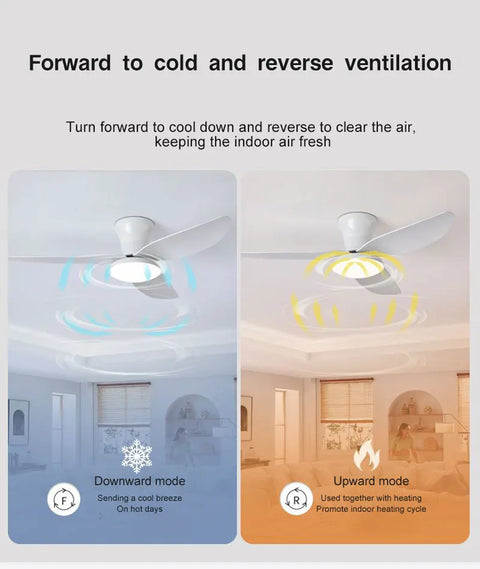 40inch AeroLuxe Lighted Ceiling Fan