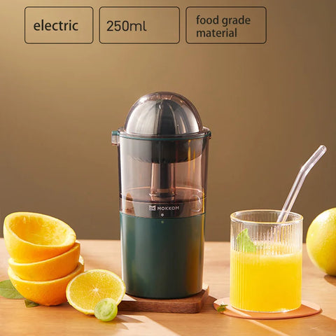 250ML Electric Juicer