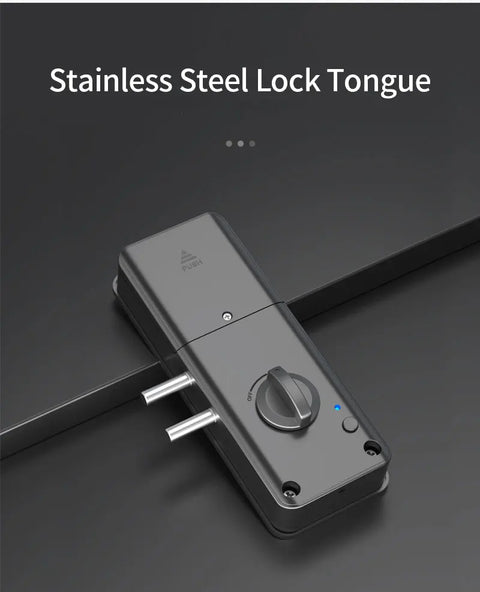 StealthGuard Smart Door Bolt Lock