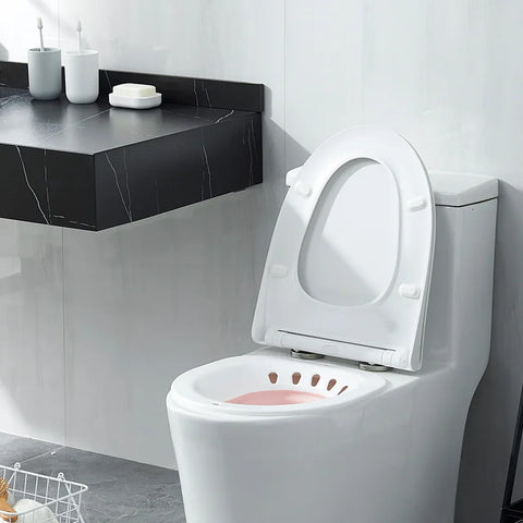Folding Toilet Tub