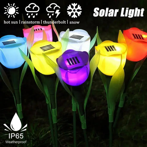 Solar Light Tulip