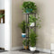 Plant Flower Pot Rack