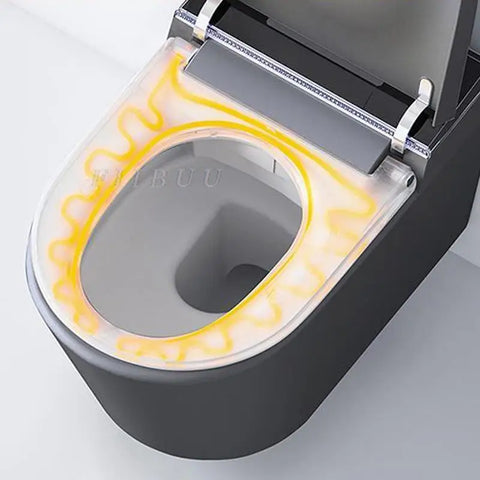 Luxury Smart Toilet