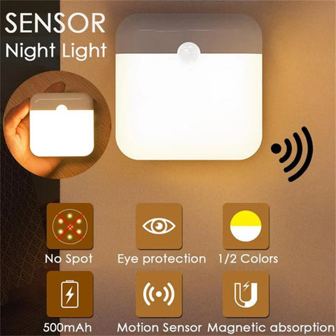 Motion Sensor Light
