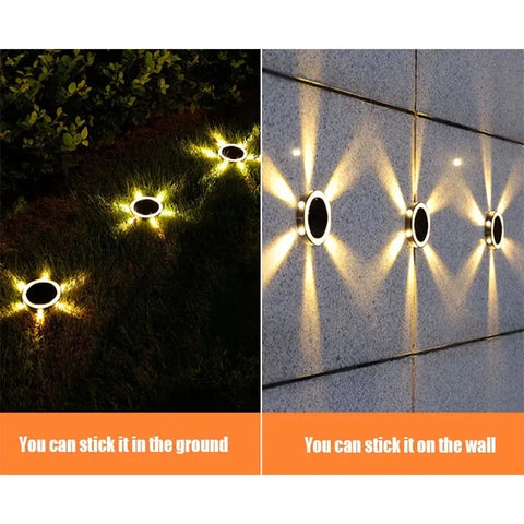 RayGuard Induction Light