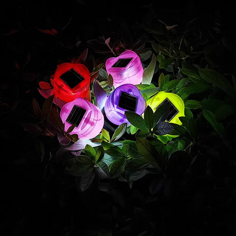 Solar Light Tulip
