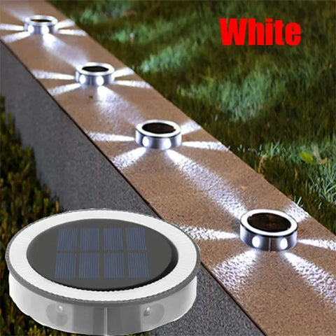 RayGuard Induction Light