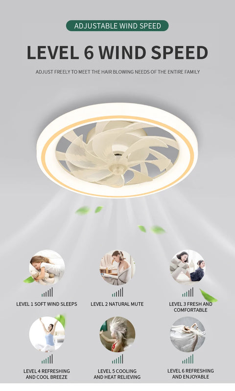 New Ceiling Fan Light