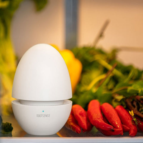 Egg Fridge Deodorizer