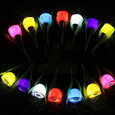 Solar Light Tulip