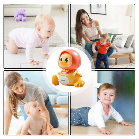 Duck Toy