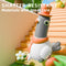 Swinging Pigeon