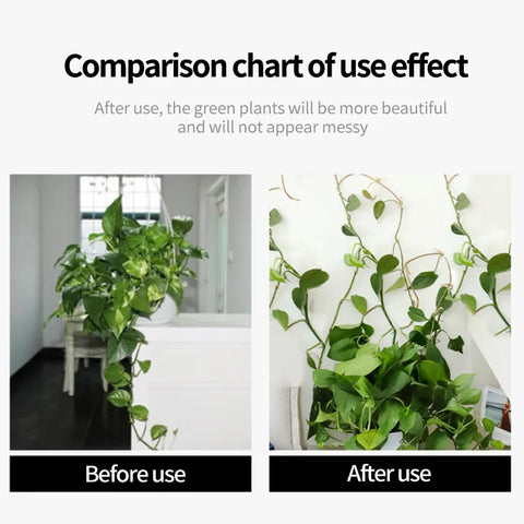 40PCS Plant Climbing Hook