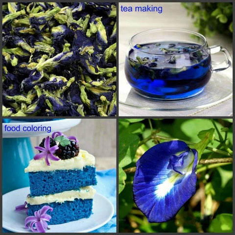 Blue Butterfly Elixir: Pure Thai Clitoria Ternatea Tea