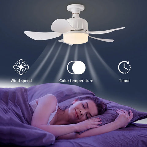2-In-1 Wireless Fan Light