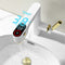 Digital Display Pull Out Faucet