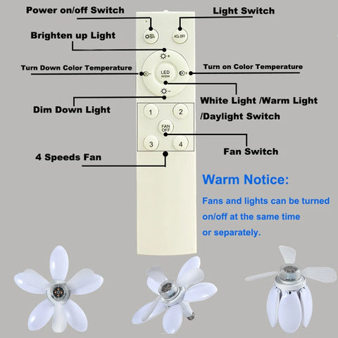 2-In-1 Ceiling Fan Light