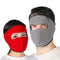 Winter Fleece Mask