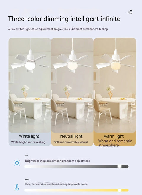 Ceiling Fan LED Light