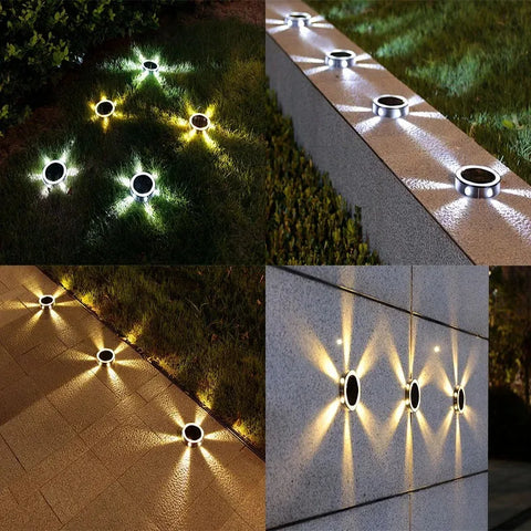 RayGuard Induction Light