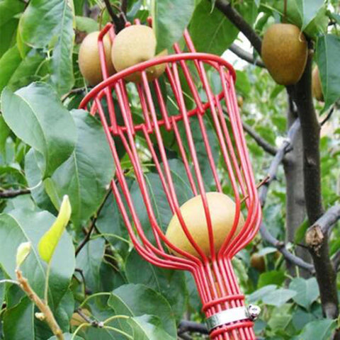 Fruit Picking Basket