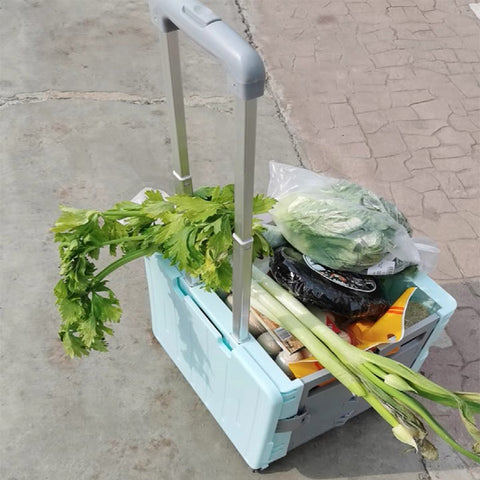 75L Portable Shopping Cart Trolley