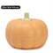 Pumpkin Storage Box