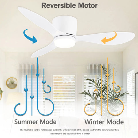 Modern Ceiling Fan with LED Light