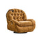 Recliner Armrest Chair