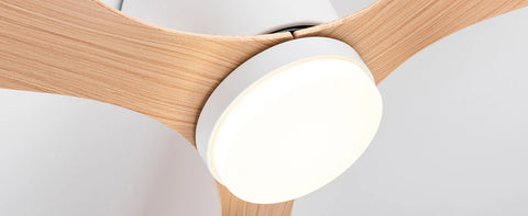 Modern Ceiling Fan with LED Light