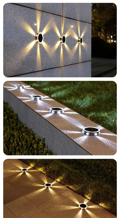 RayGuard Induction Light