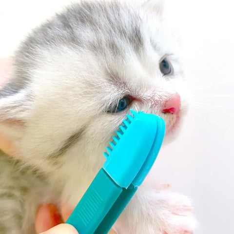 EcoKitty TearBrush