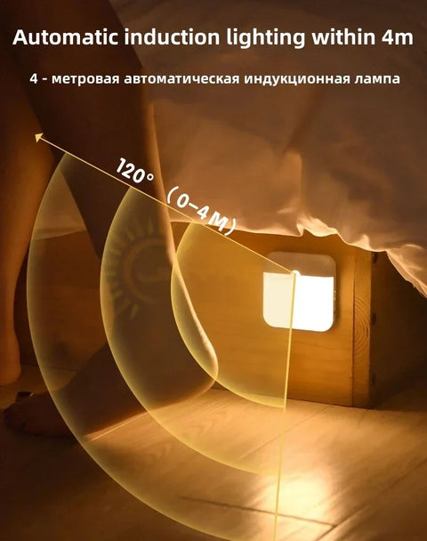 Motion Sensor Light