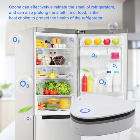Fridge Ozone Sterilizer Air Purifier