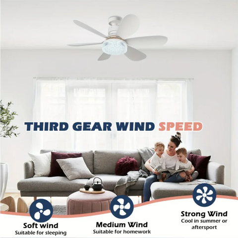 LumiBreeze LED Ceiling Fan