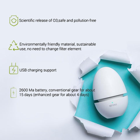 Egg Fridge Deodorizer