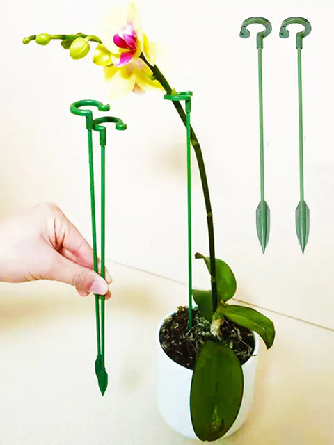 2/5/10pcs Plastic Plant Holder