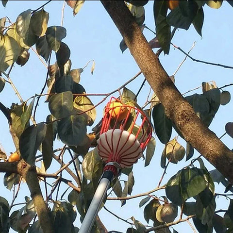 Fruit Picking Basket
