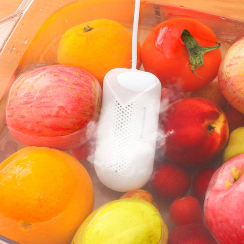 Portable Food Purifier Washer