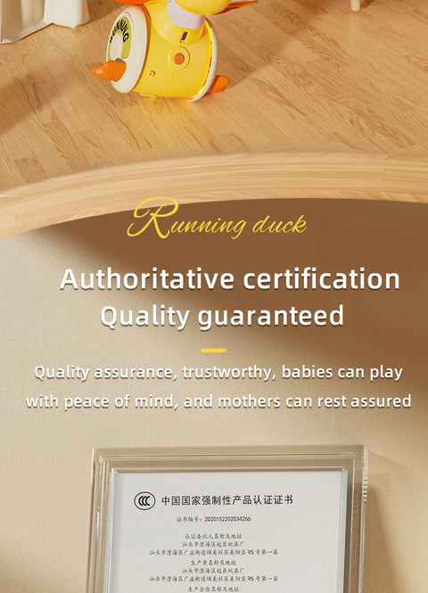 Electric Duck Toy