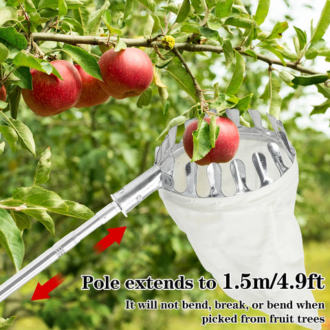 Fruit Picker Tool