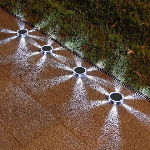 RayGuard Induction Light