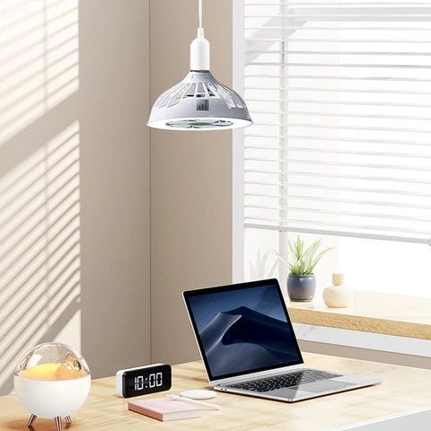 Screw Socket Fan Light